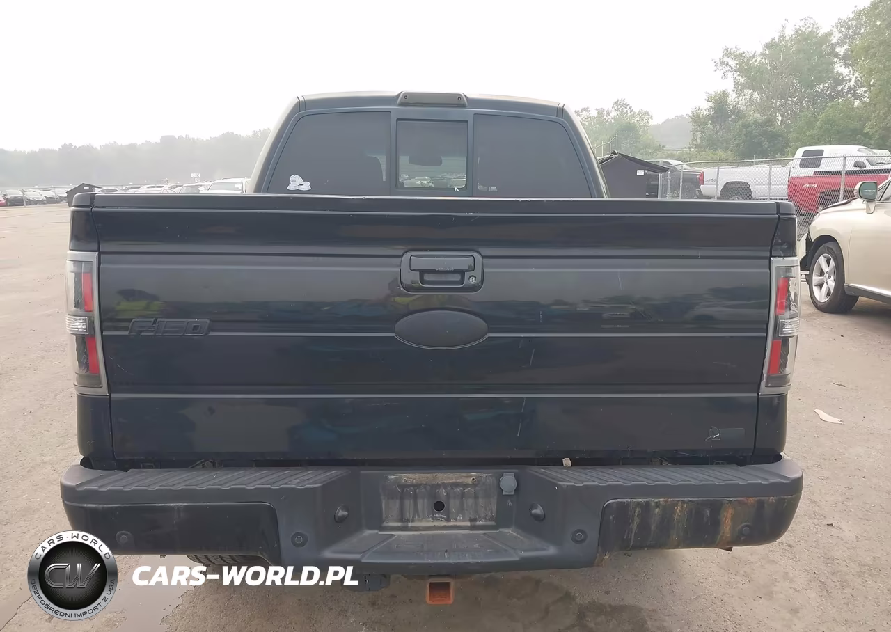 2010 Ford F-150 Fx4-Harley-Davidson-King Ranch-Lariat-Platinum-Xl-Xlt VIN:1FTFW1EV1AKB57755 - 16