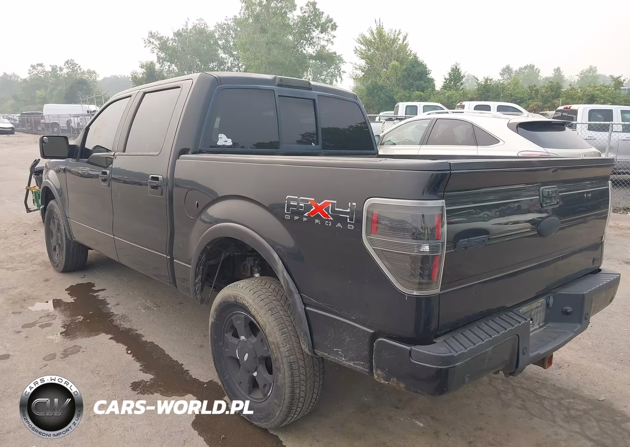 2010 Ford F-150 Fx4-Harley-Davidson-King Ranch-Lariat-Platinum-Xl-Xlt VIN:1FTFW1EV1AKB57755 - 3