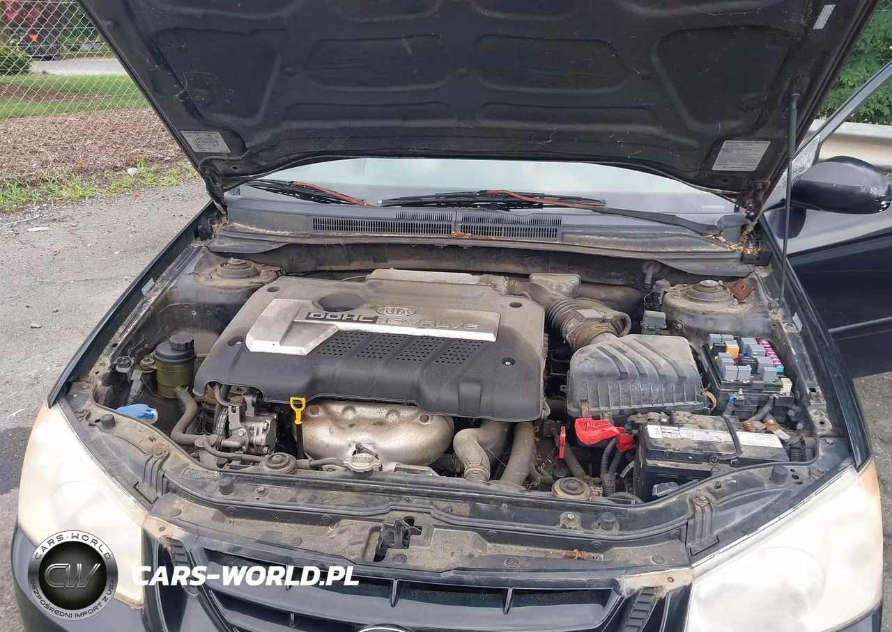 2006 Kia Spectra Ex-Lx-Sx VIN:KNAFE121165298400 - 10
