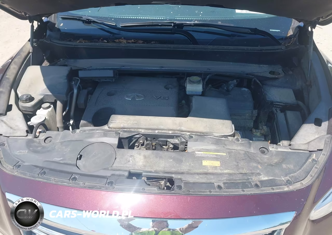 2014 Infiniti Qx60 VIN:5N1AL0MM6EC553892 - 10