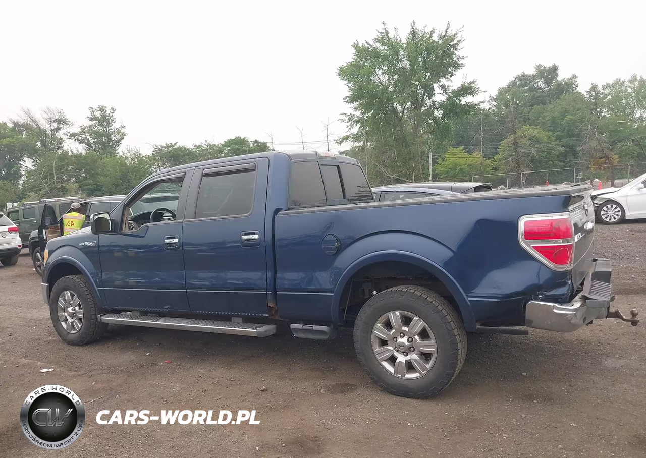 2010 Ford F-150 Fx4-Harley-Davidson-King Ranch-Lariat-Platinum-Xl-Xlt VIN:1FTFW1EV9AFD37929 - 14