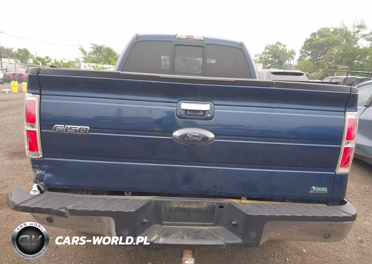 2010 Ford F-150 Fx4-Harley-Davidson-King Ranch-Lariat-Platinum-Xl-Xlt VIN:1FTFW1EV9AFD37929 - 16