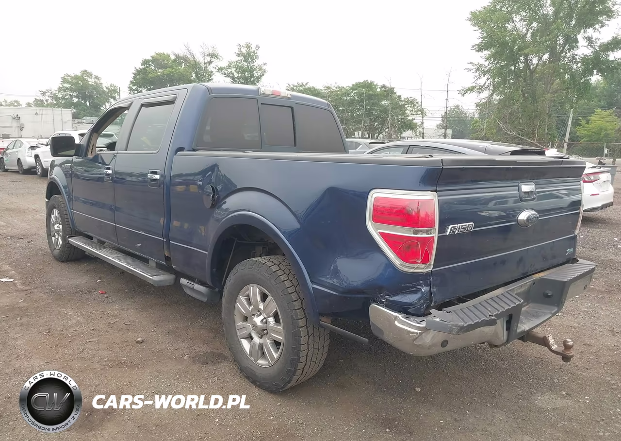 2010 Ford F-150 Fx4-Harley-Davidson-King Ranch-Lariat-Platinum-Xl-Xlt VIN:1FTFW1EV9AFD37929 - 3