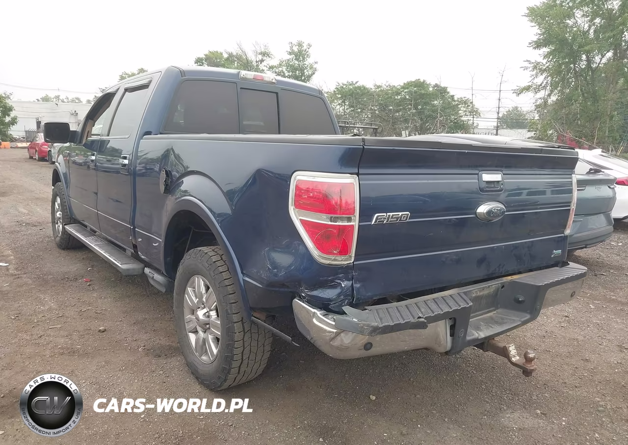 2010 Ford F-150 Fx4-Harley-Davidson-King Ranch-Lariat-Platinum-Xl-Xlt VIN:1FTFW1EV9AFD37929 - 6