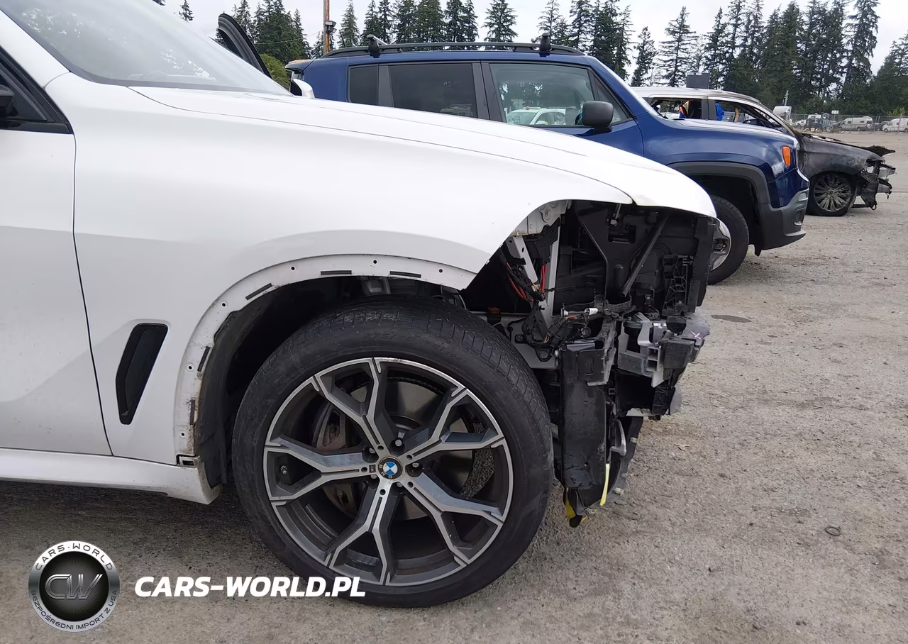 2021 BMW X5 Phev xDrive45E VIN:5UXTA6C07M9F49061 - 18