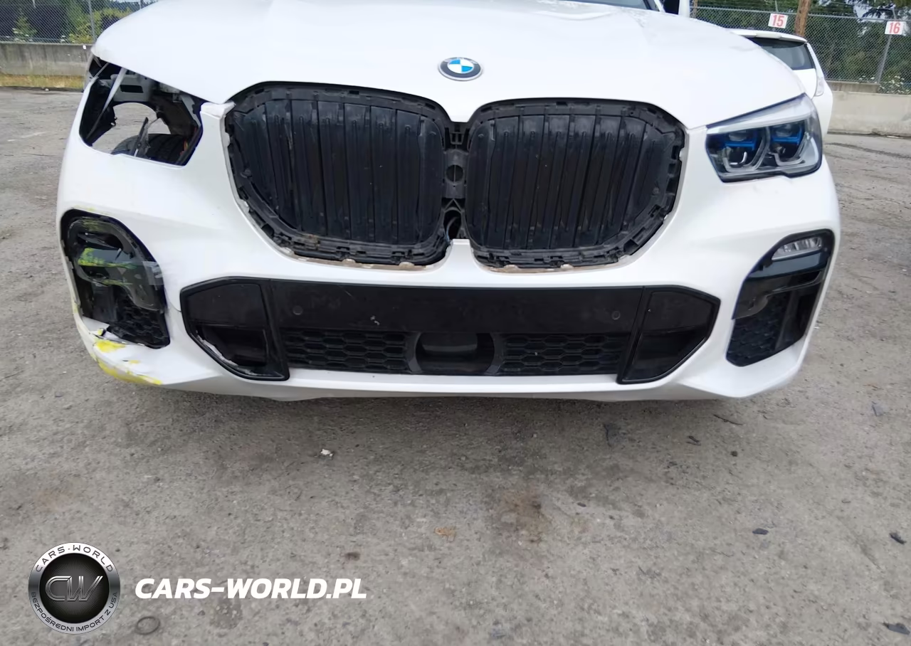 2021 BMW X5 Phev xDrive45E VIN:5UXTA6C07M9F49061 - 19