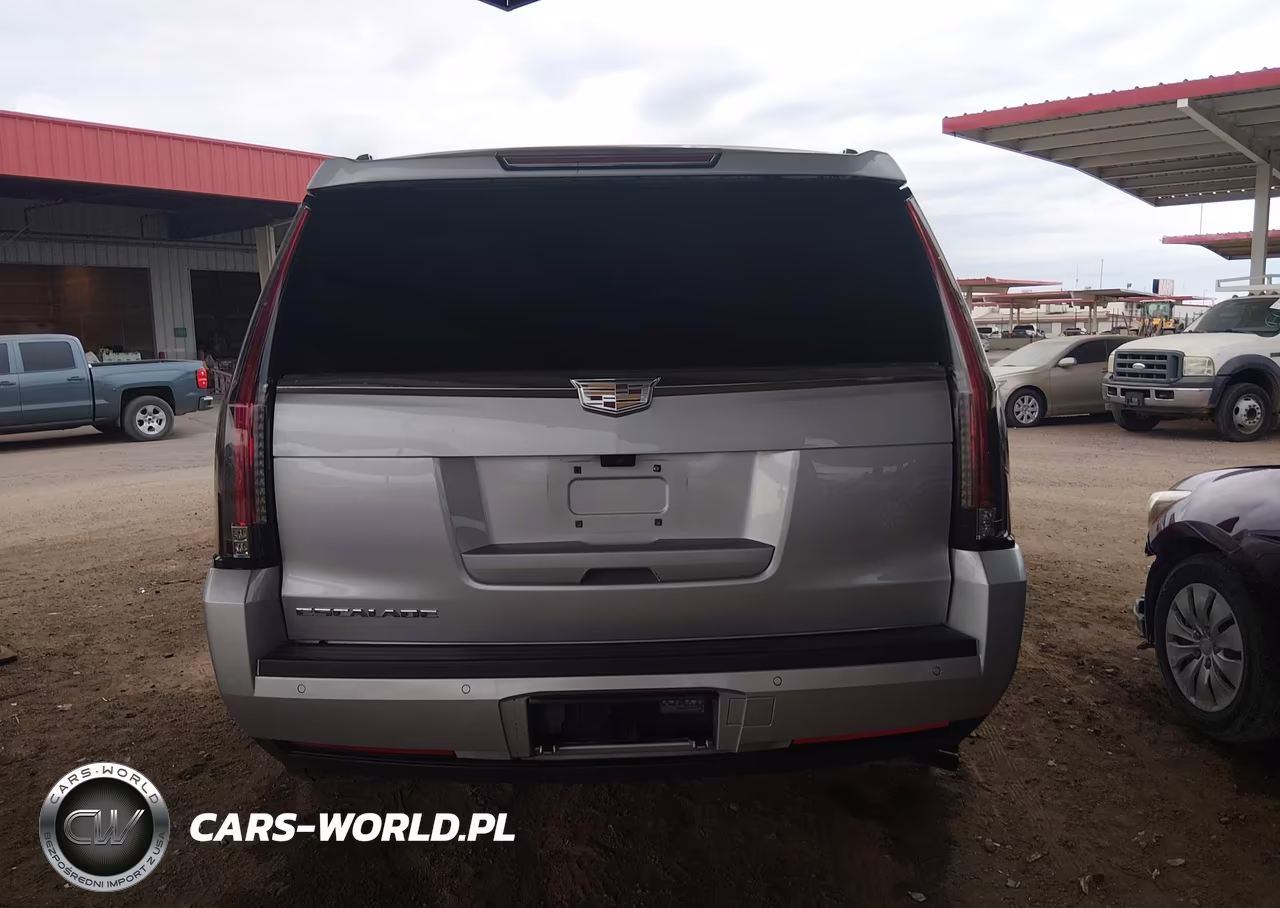 2020 Cadillac Escalade 4Wd Platinum VIN:1GYS4DKJ8LR248825 - 17