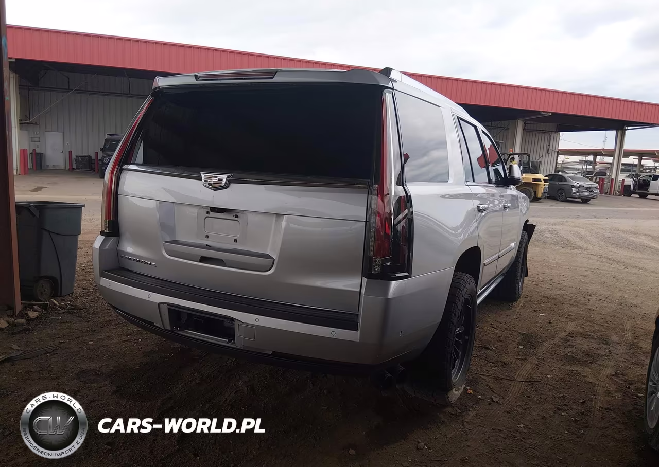 2020 Cadillac Escalade 4Wd Platinum VIN:1GYS4DKJ8LR248825 - 4
