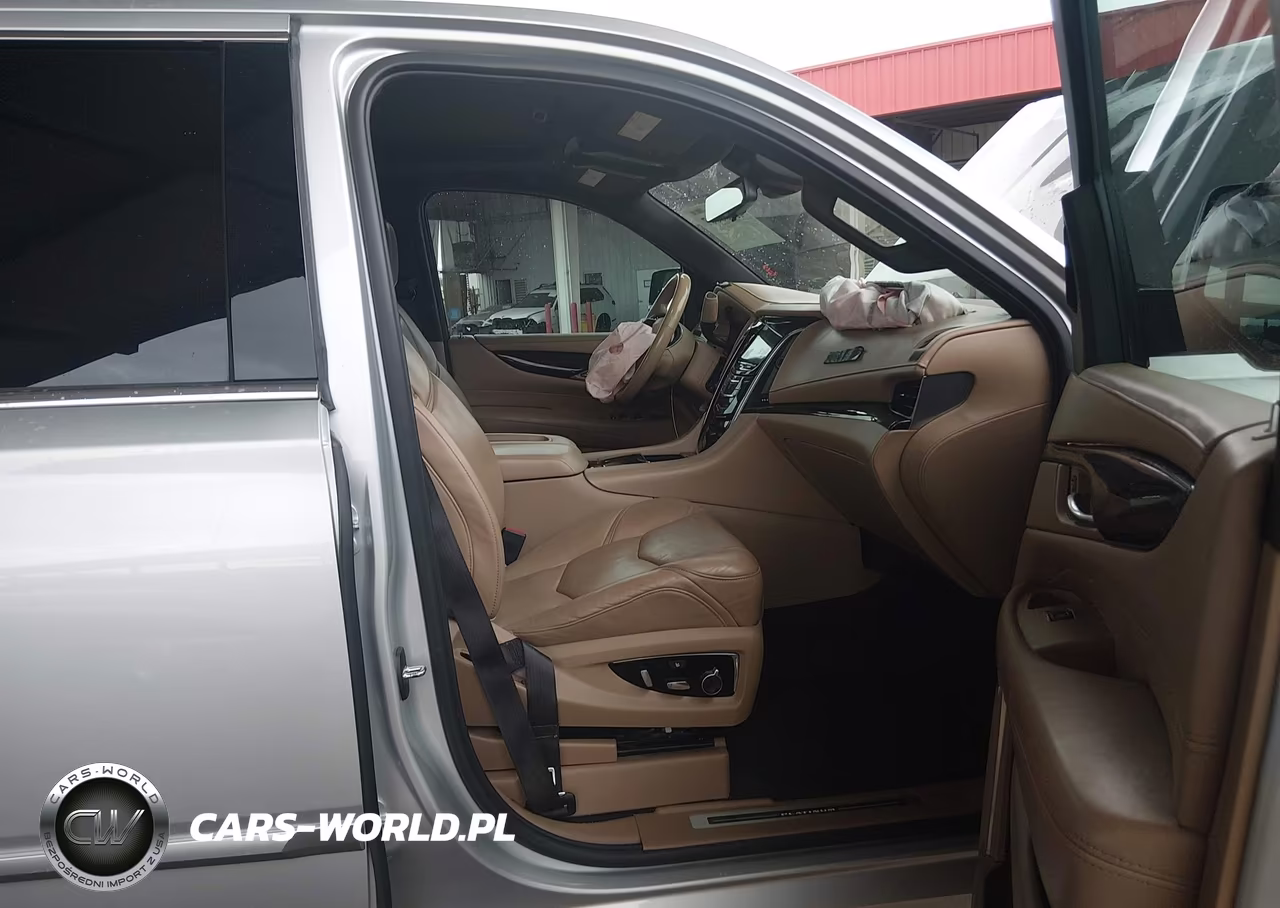2020 Cadillac Escalade 4Wd Platinum VIN:1GYS4DKJ8LR248825 - 5