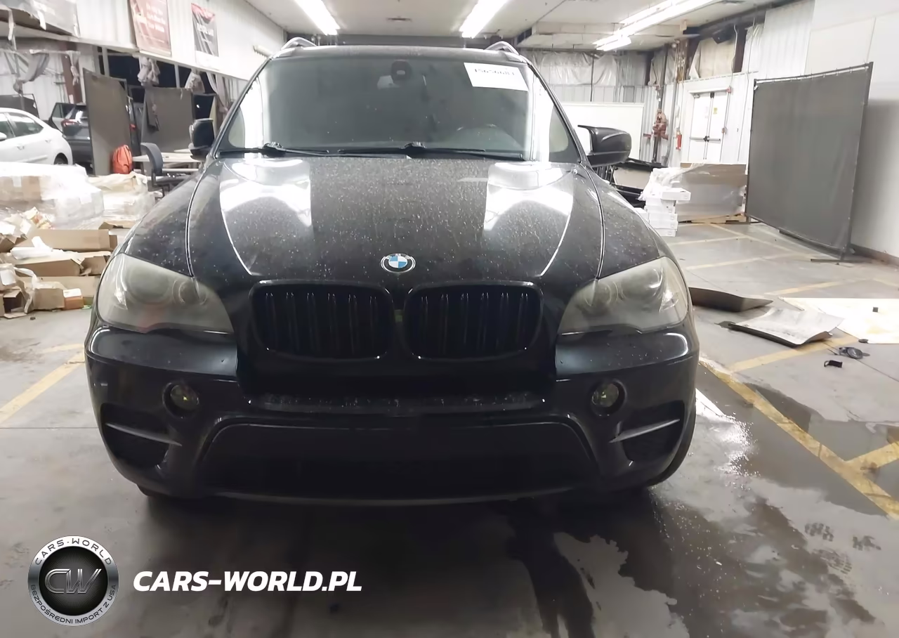 2011 BMW X5 xDrive35I-xDrive35I Premium-xDrive35I Sport Activity VIN:5UXZV4C55BL740859 - 12