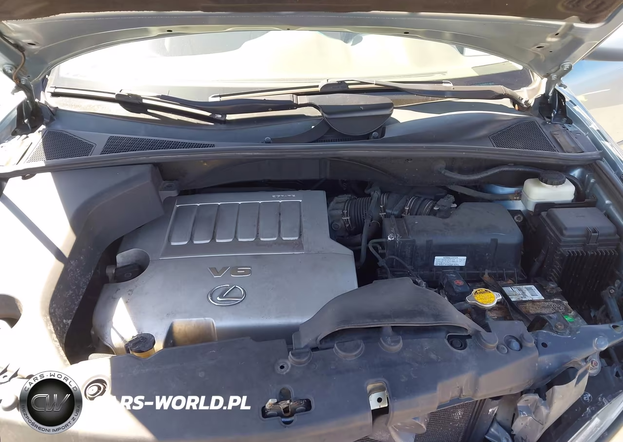 2009 Lexus Rx 350 VIN:2T2HK31U89C130798 - 10