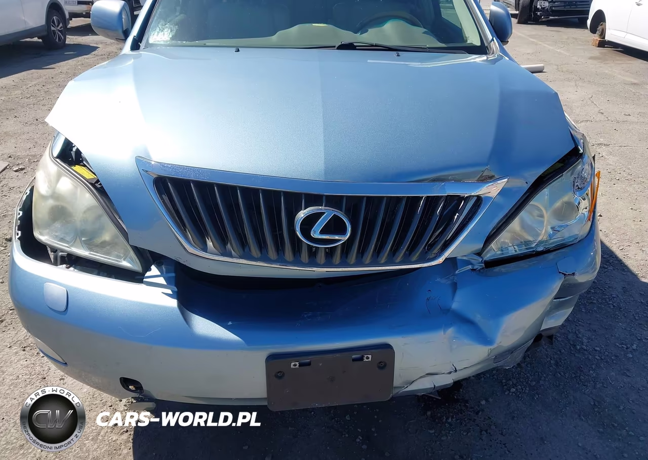 2009 Lexus Rx 350 VIN:2T2HK31U89C130798 - 6