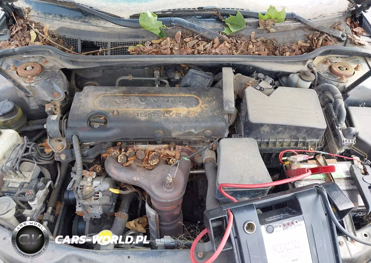2009 Toyota Camry Se VIN:4T1BE46K39U382049 - 10