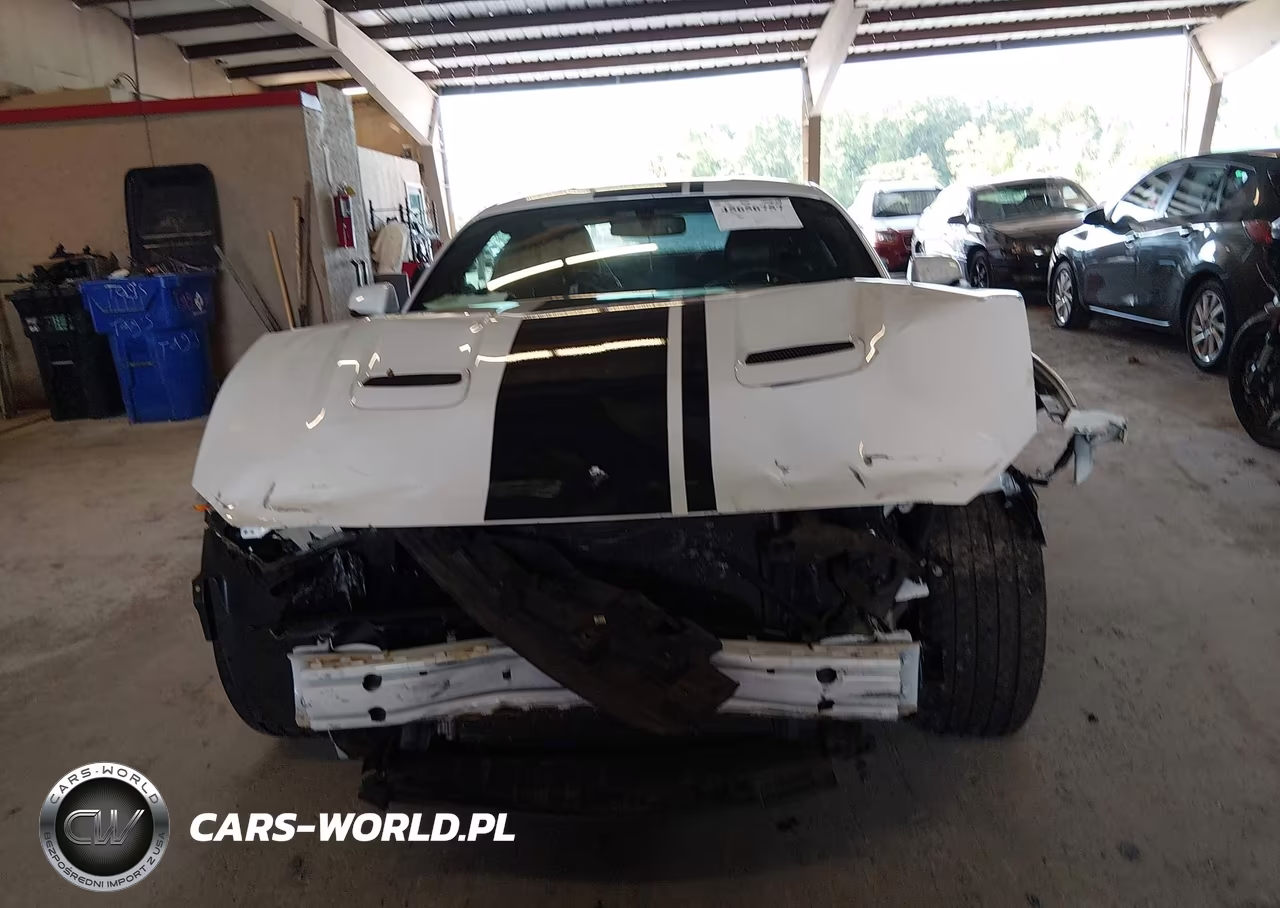 2019 Ford Mustang Gt Premium VIN:1FA6P8CF6K5152459 - 12