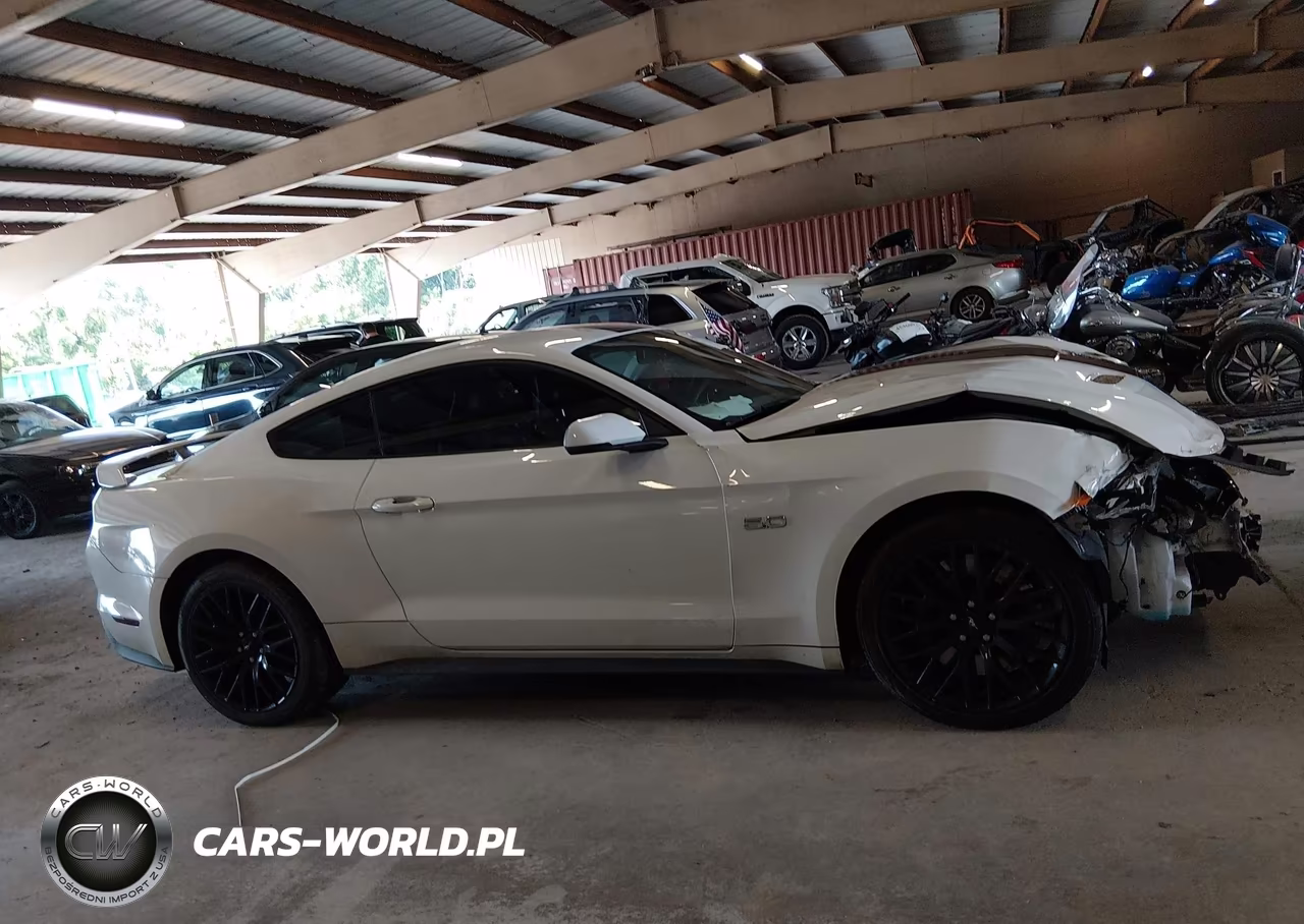 2019 Ford Mustang Gt Premium VIN:1FA6P8CF6K5152459 - 13