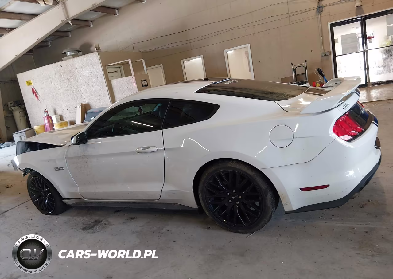 2019 Ford Mustang Gt Premium VIN:1FA6P8CF6K5152459 - 14