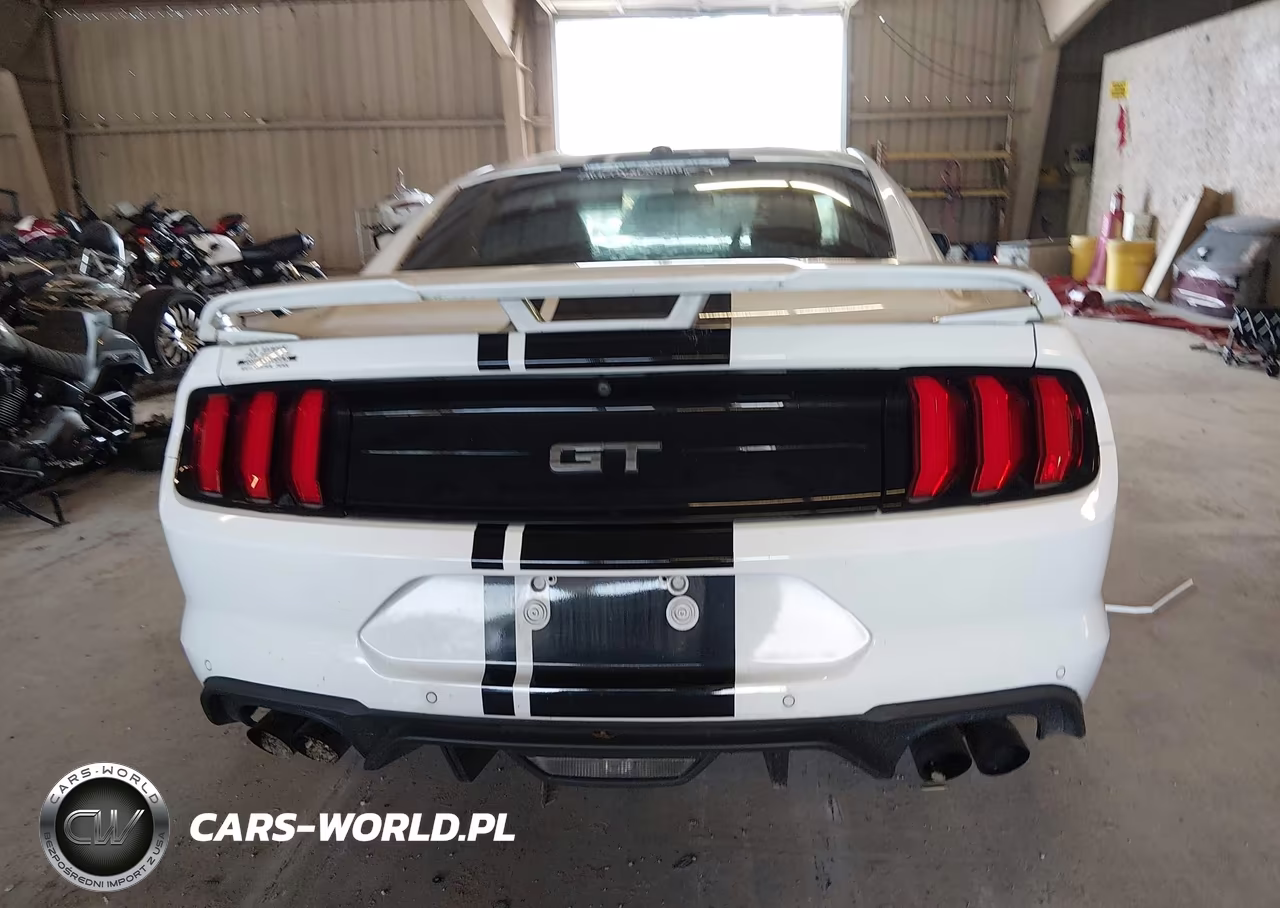 2019 Ford Mustang Gt Premium VIN:1FA6P8CF6K5152459 - 16