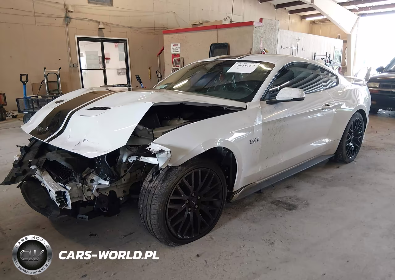 2019 Ford Mustang Gt Premium VIN:1FA6P8CF6K5152459 - 2