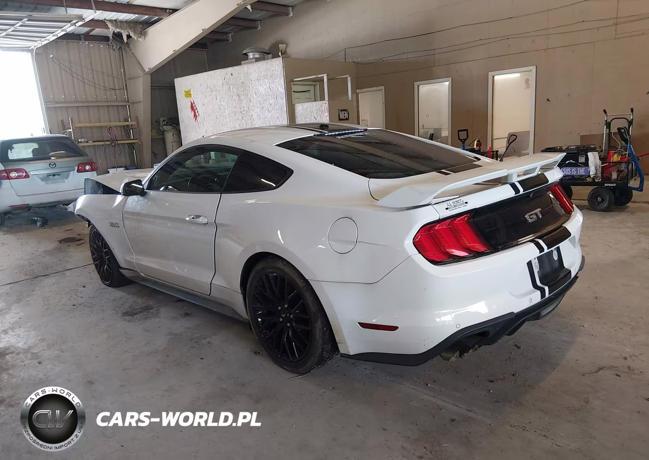 2019 Ford Mustang Gt Premium VIN:1FA6P8CF6K5152459 - 3