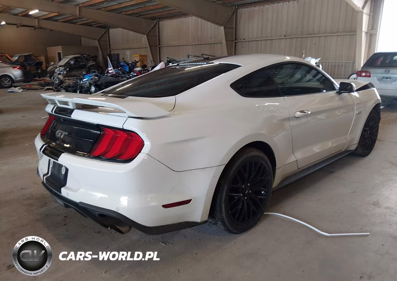 2019 Ford Mustang Gt Premium VIN:1FA6P8CF6K5152459 - 4