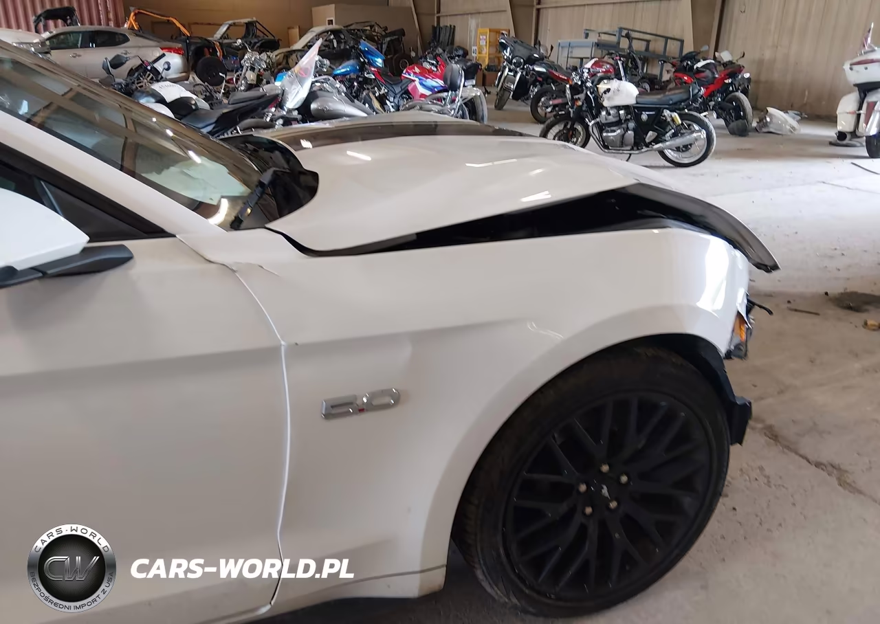 2019 Ford Mustang Gt Premium VIN:1FA6P8CF6K5152459 - 6