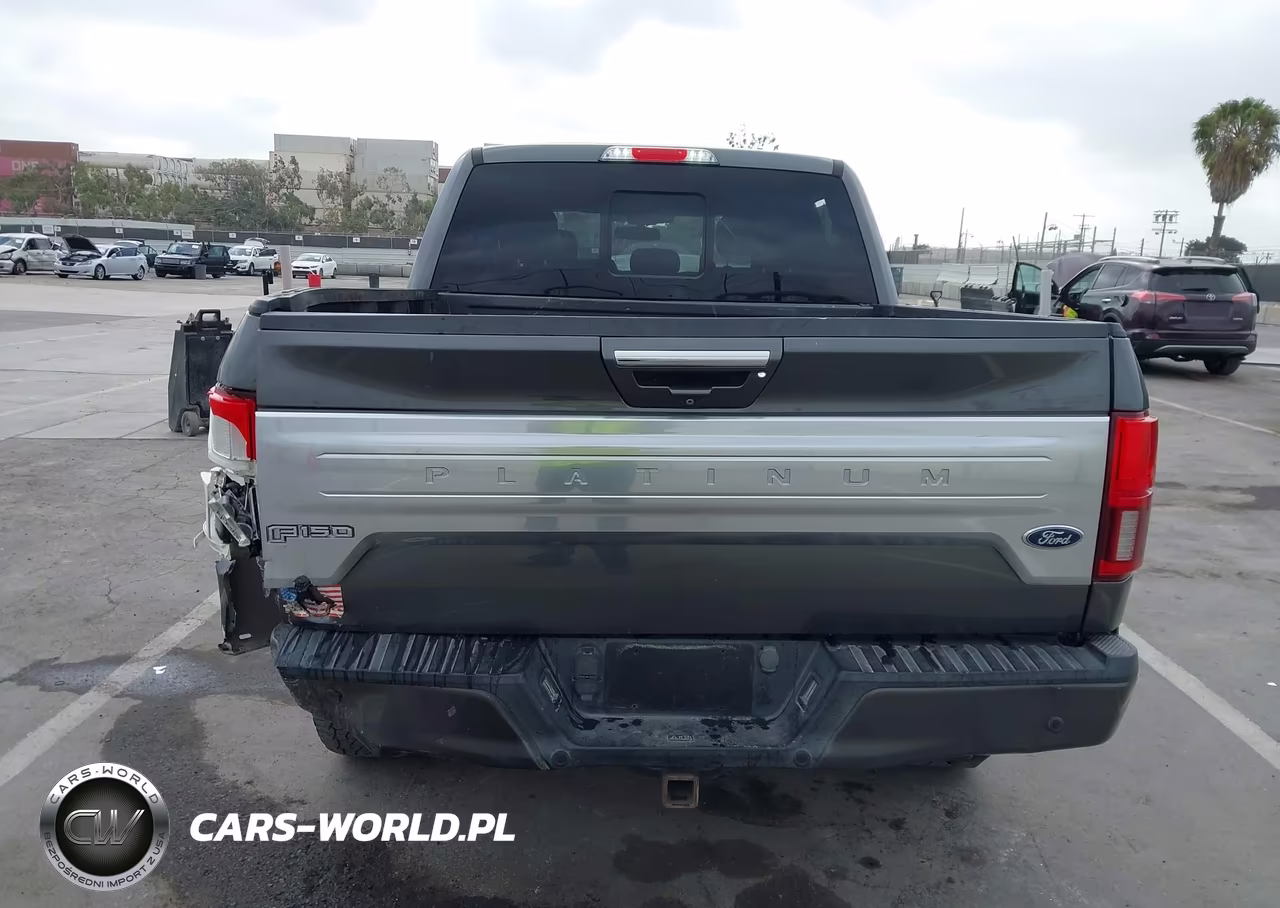 2018 Ford F-150 Platinum VIN:1FTFW1E14JFD86467 - 16