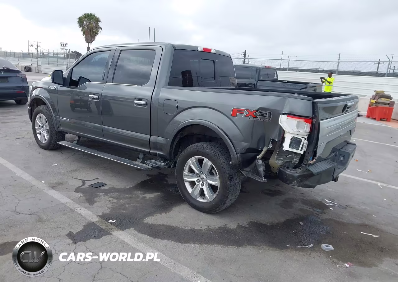 2018 Ford F-150 Platinum VIN:1FTFW1E14JFD86467 - 3