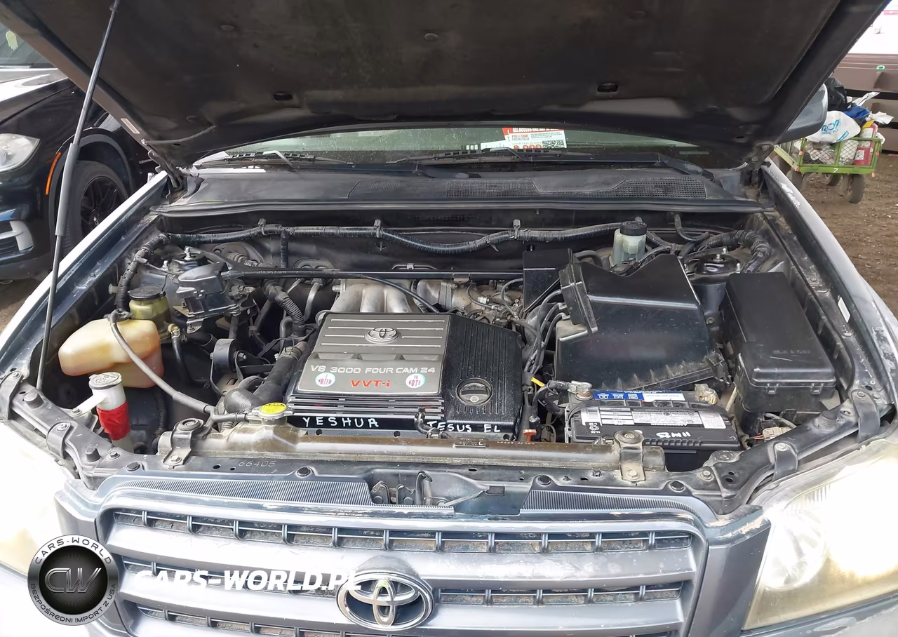 2002 Toyota Highlander V6 VIN:JTEGF21A020039377 - 10