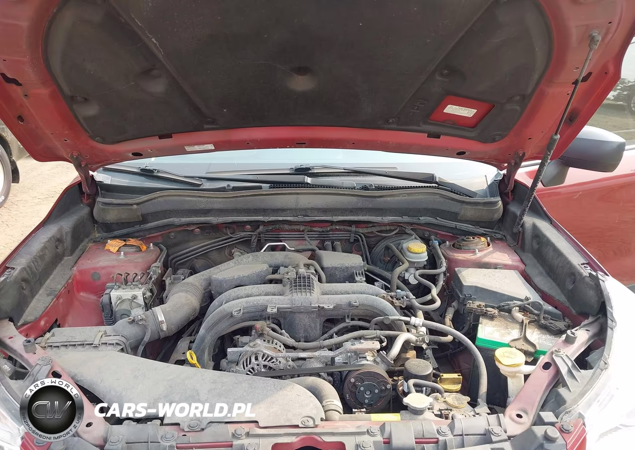 2017 Subaru Forester 2.5I VIN:JF2SJABC0HH556584 - 10