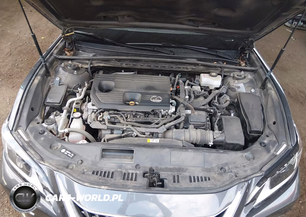 2022 Lexus Es 300H VIN:58ADA1C11NU025518 - 10