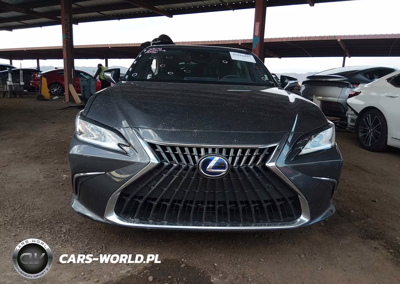 2022 Lexus Es 300H VIN:58ADA1C11NU025518 - 13