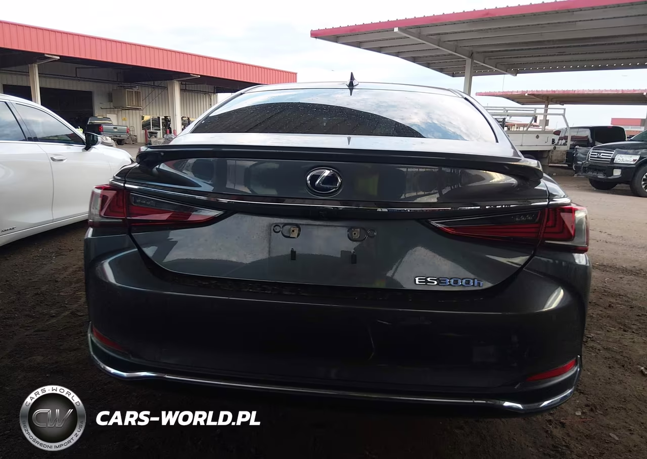2022 Lexus Es 300H VIN:58ADA1C11NU025518 - 17