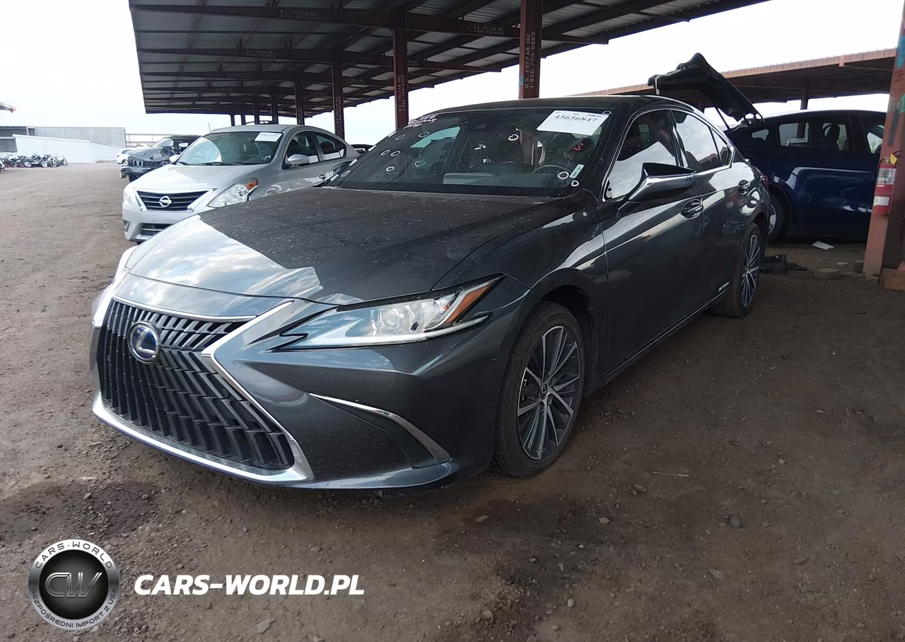 2022 Lexus Es 300H VIN:58ADA1C11NU025518 - 2
