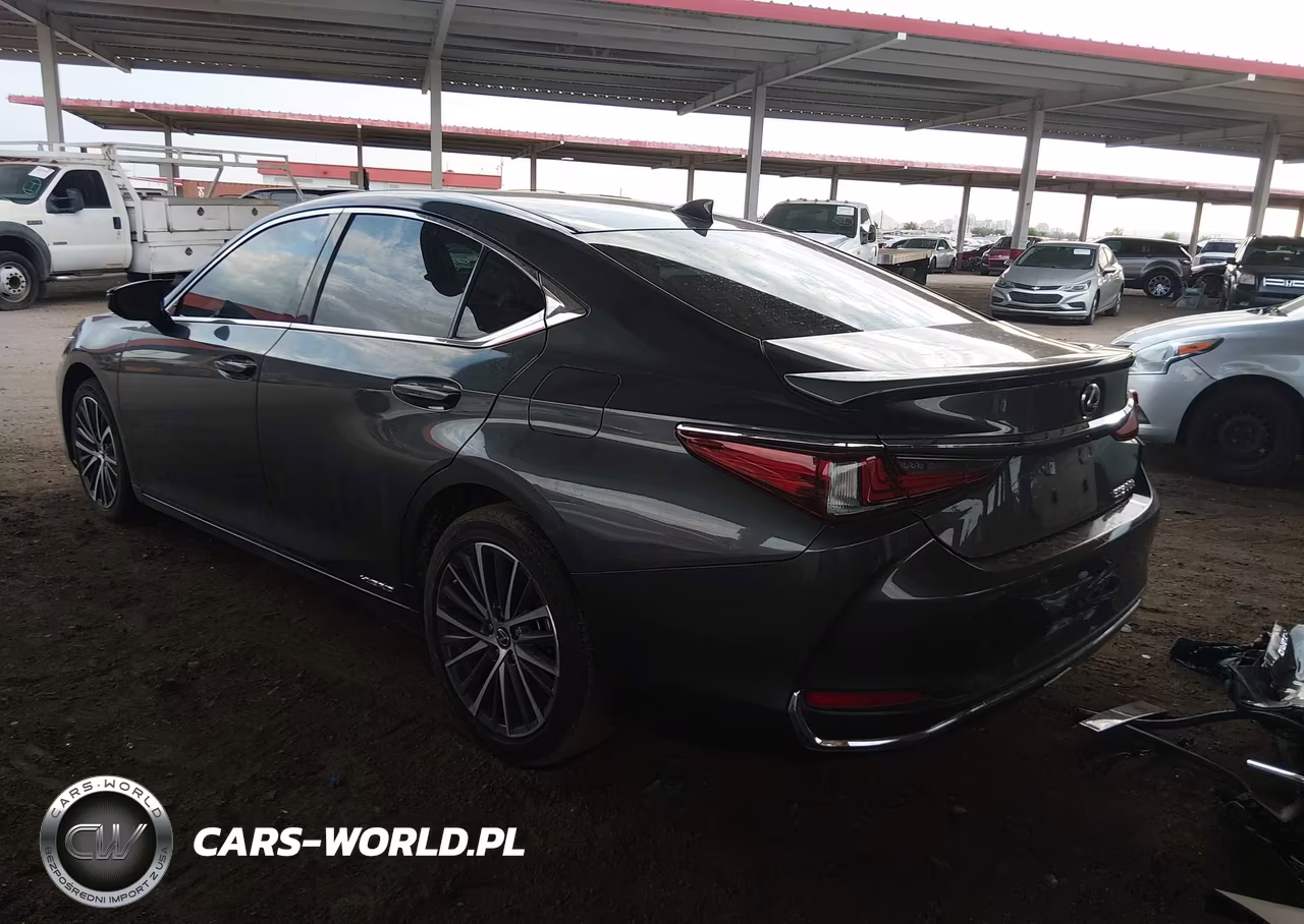 2022 Lexus Es 300H VIN:58ADA1C11NU025518 - 3