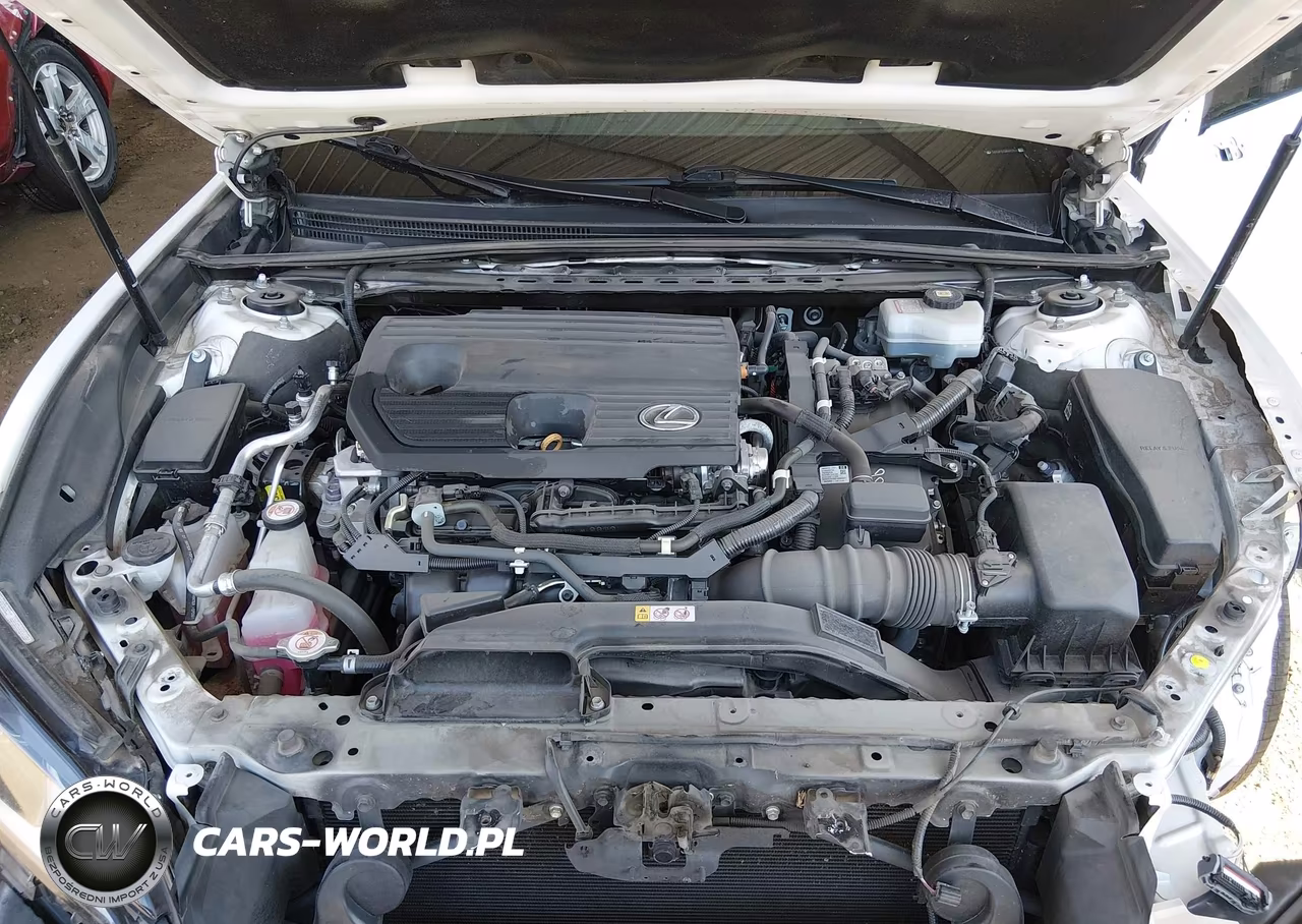 2022 Lexus Es 300H VIN:58ADA1C13NU013922 - 10