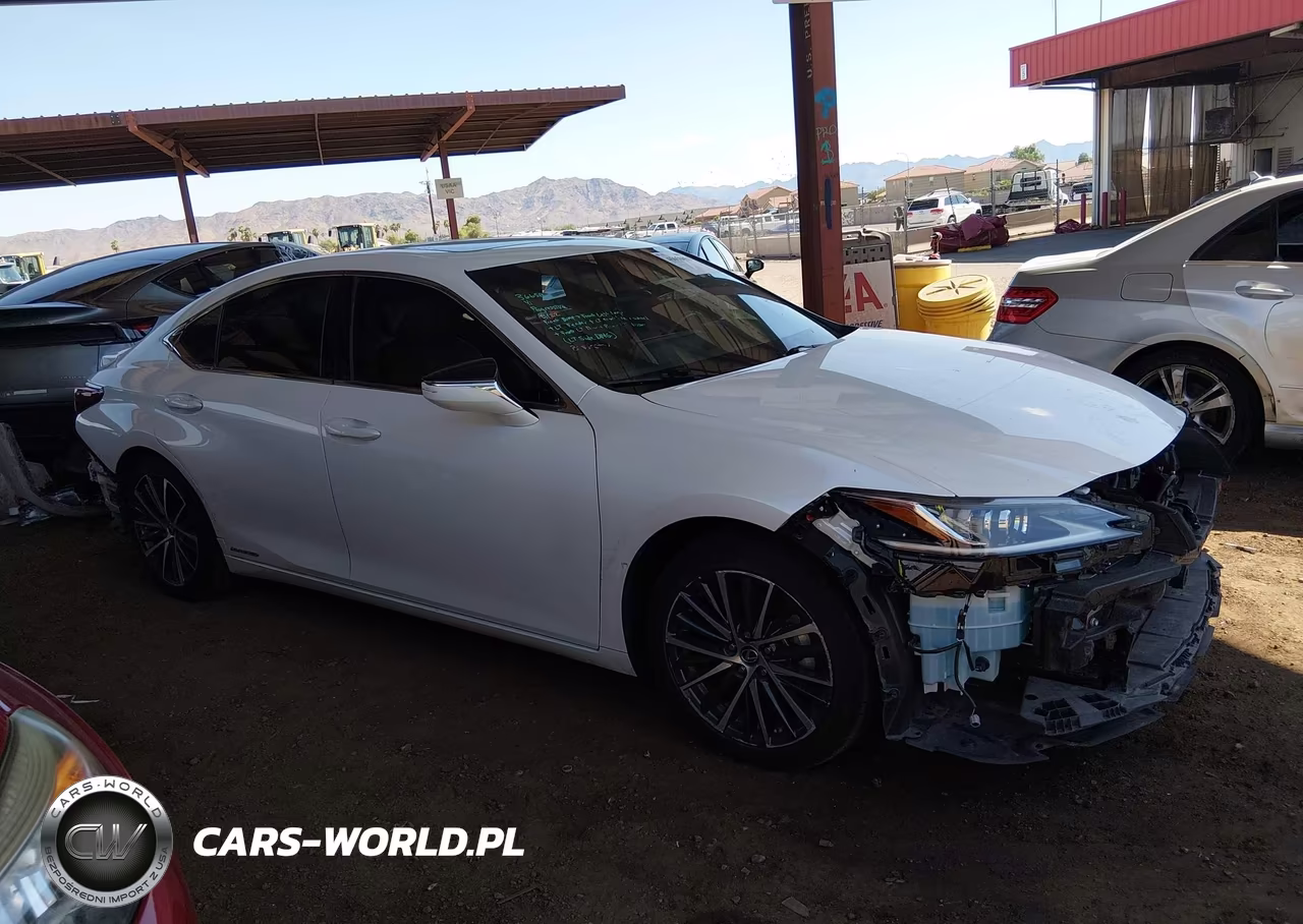 2022 Lexus Es 300H VIN:58ADA1C13NU013922 - 13