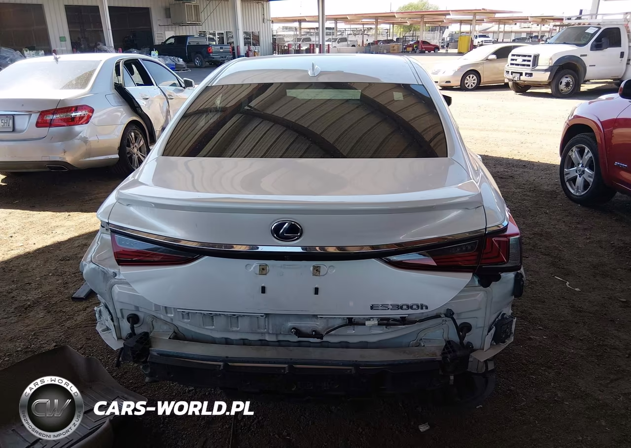 2022 Lexus Es 300H VIN:58ADA1C13NU013922 - 16
