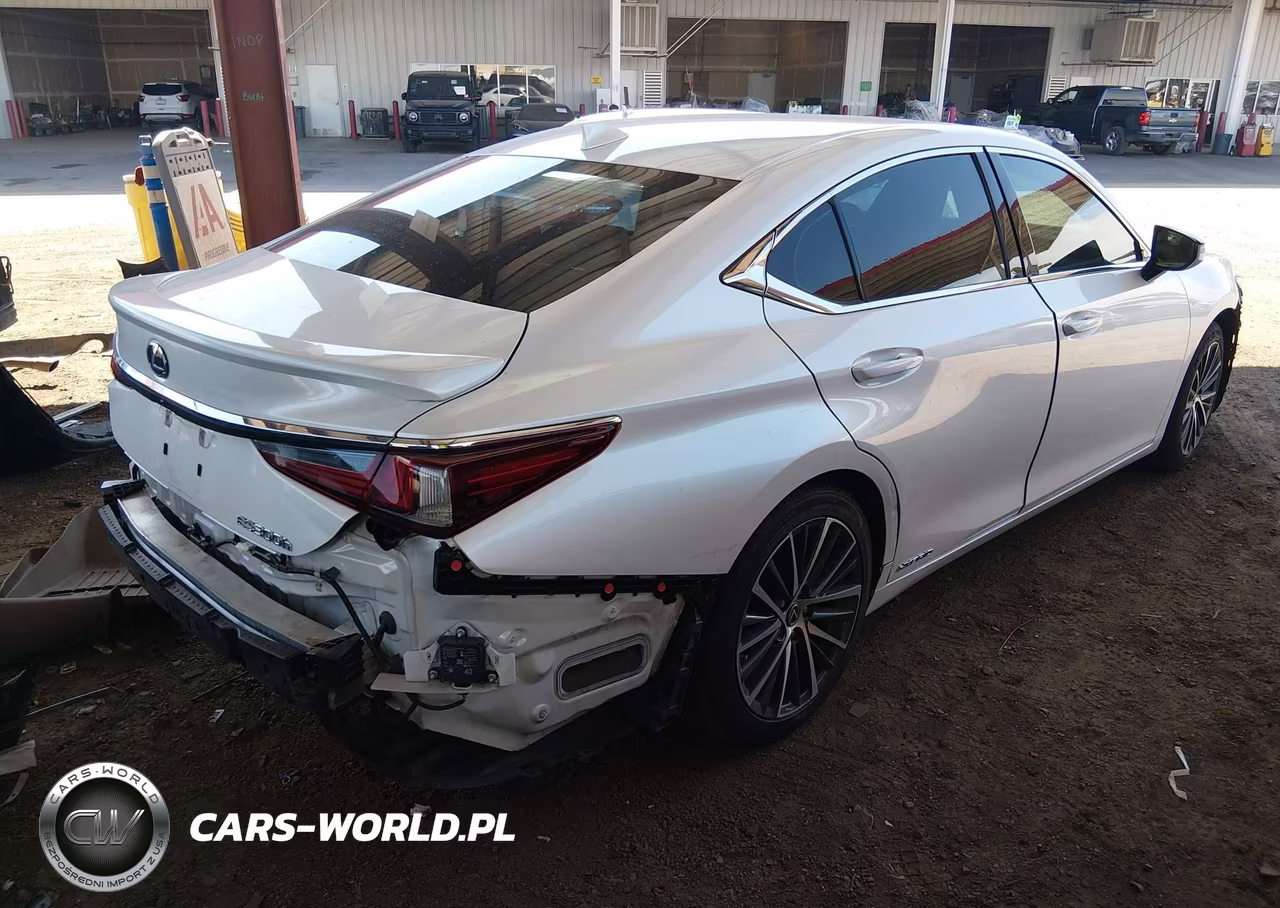 2022 Lexus Es 300H VIN:58ADA1C13NU013922 - 4
