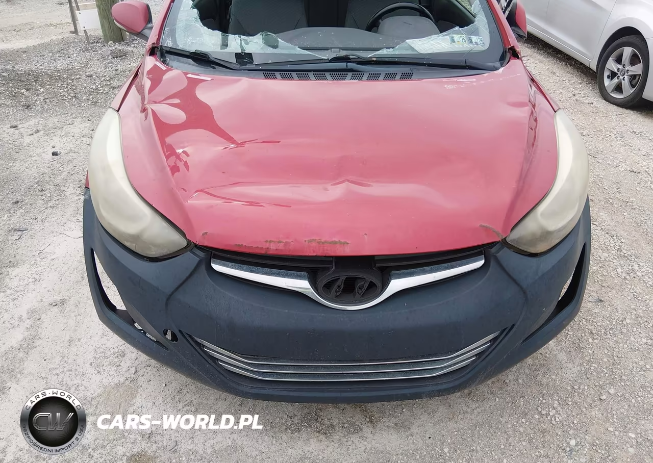 2014 Hyundai Elantra VIN:KMHDH6AH6EU026101 - 6