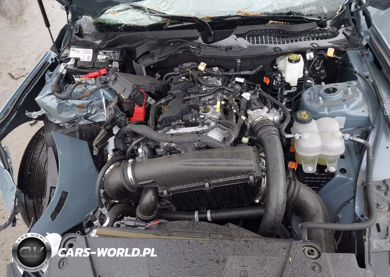 2024 Ford Mustang Ecoboost Premium Fastback VIN:1FA6P8TH8R5121824 - 10