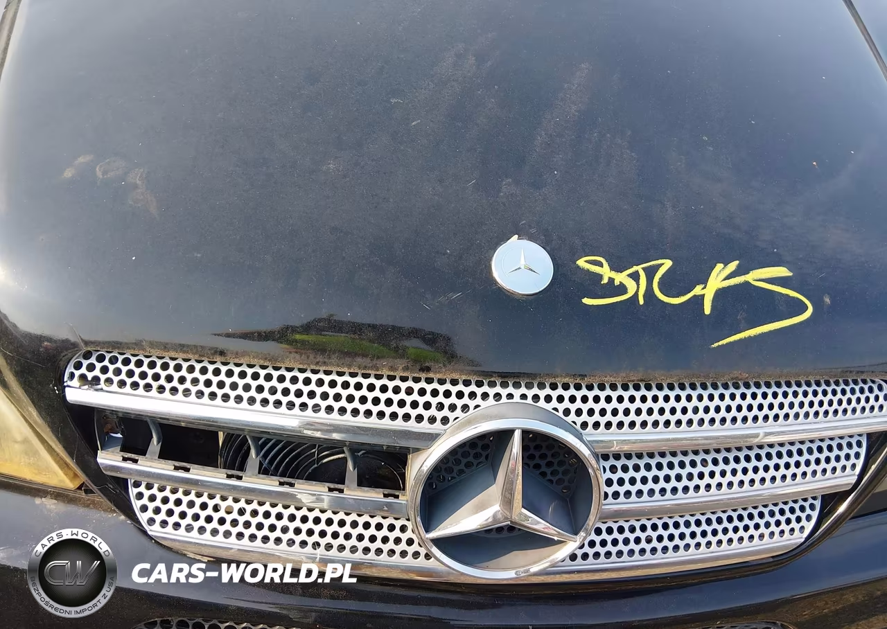 2001 Mercedes-Benz Ml 320 VIN:4JGAB54E51A285738 - 10