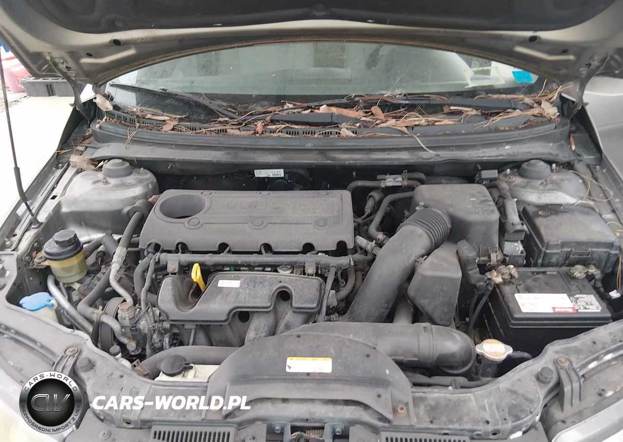 2011 Kia Forte Ex VIN:KNAFU4A25B5434066 - 10