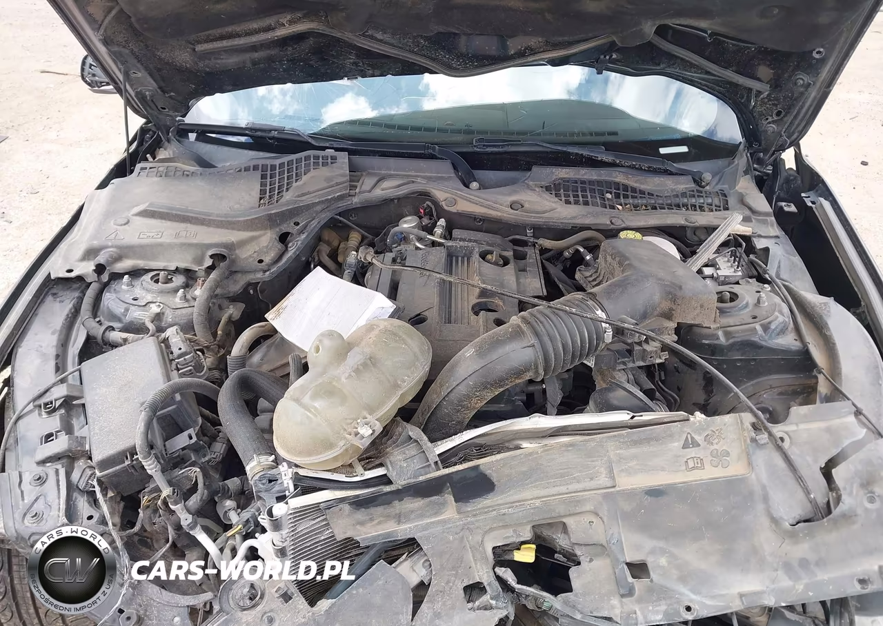 2020 Ford Mustang Ecoboost Fastback VIN:1FA6P8TH9L5167413 - 10