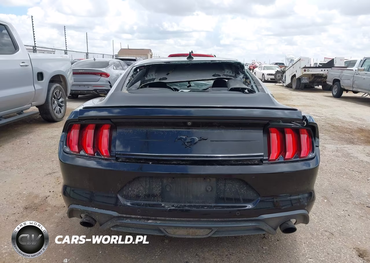 2020 Ford Mustang Ecoboost Fastback VIN:1FA6P8TH9L5167413 - 17