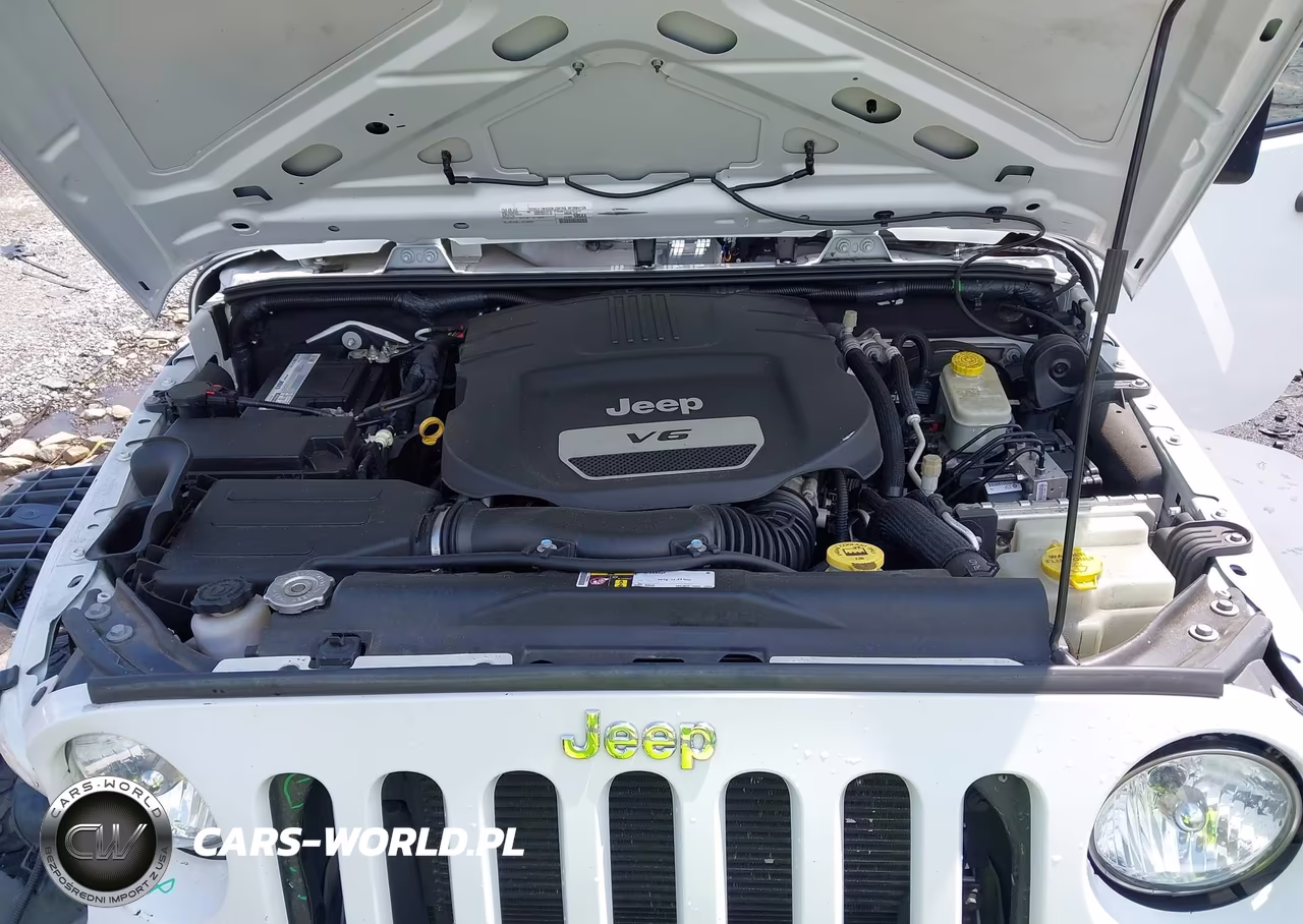 2016 Jeep Wrangler Unlimited Sport VIN:1C4BJWDG0GL310318 - 10