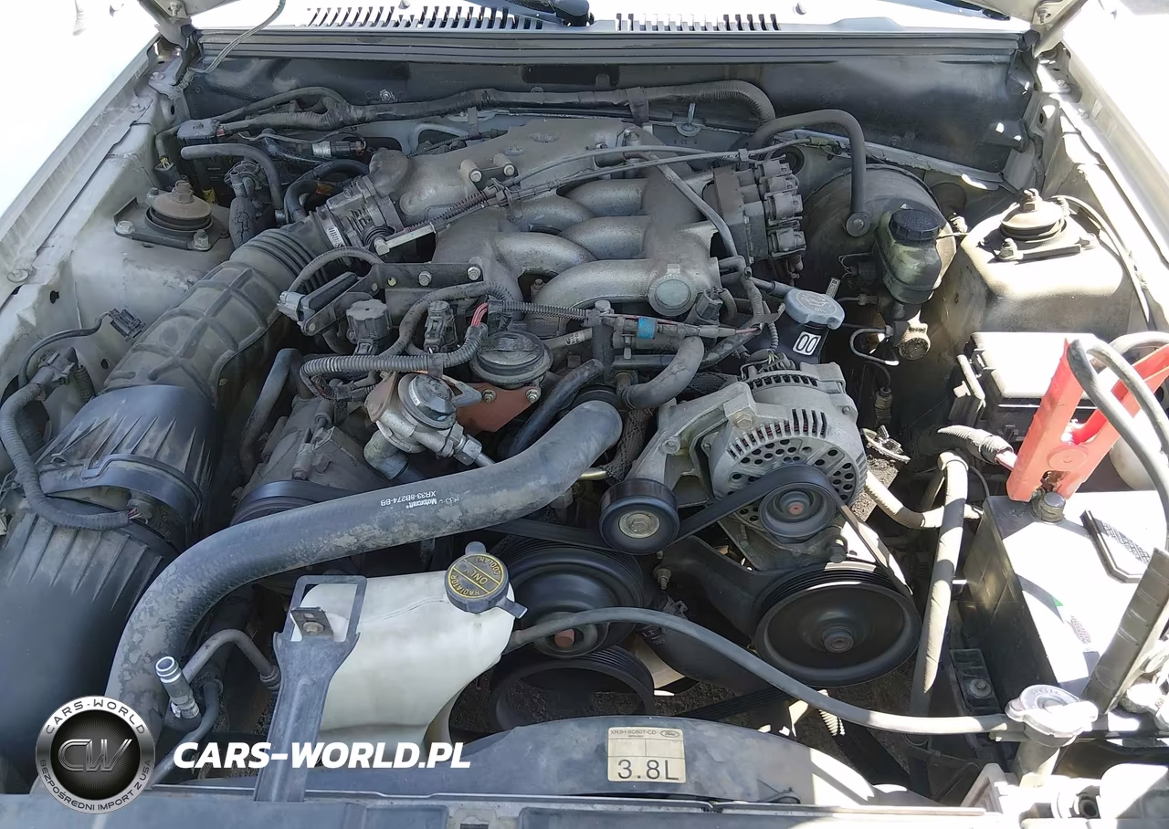 2000 Ford Mustang VIN:1FAFP4445YF113127 - 10