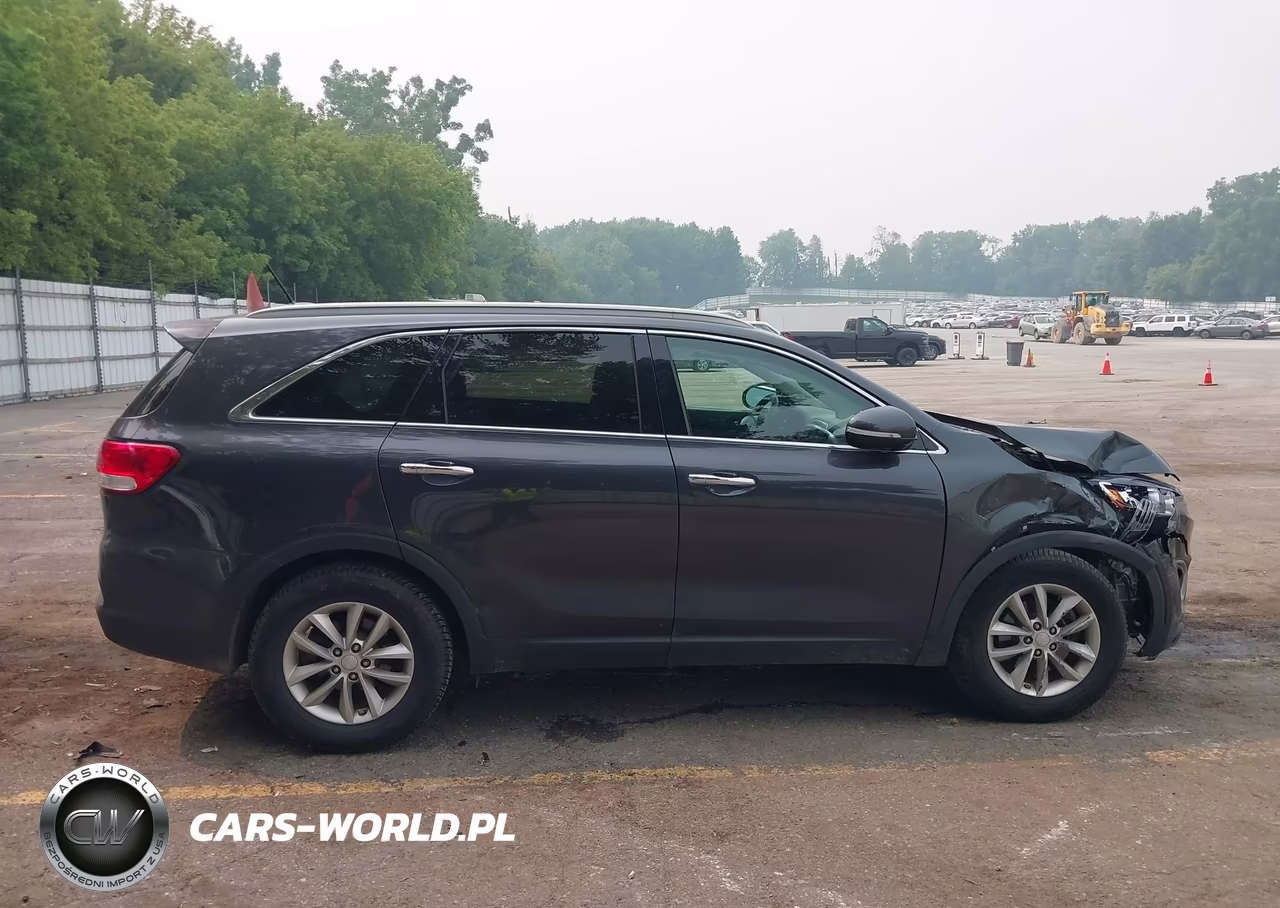 2016 Kia Sorento 2.4L Lx VIN:5XYPG4A38GG168161 - 13