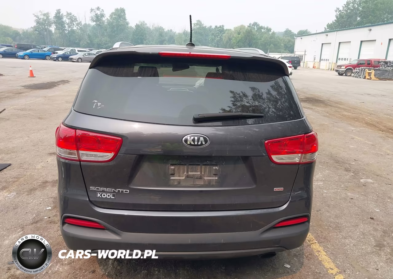 2016 Kia Sorento 2.4L Lx VIN:5XYPG4A38GG168161 - 16