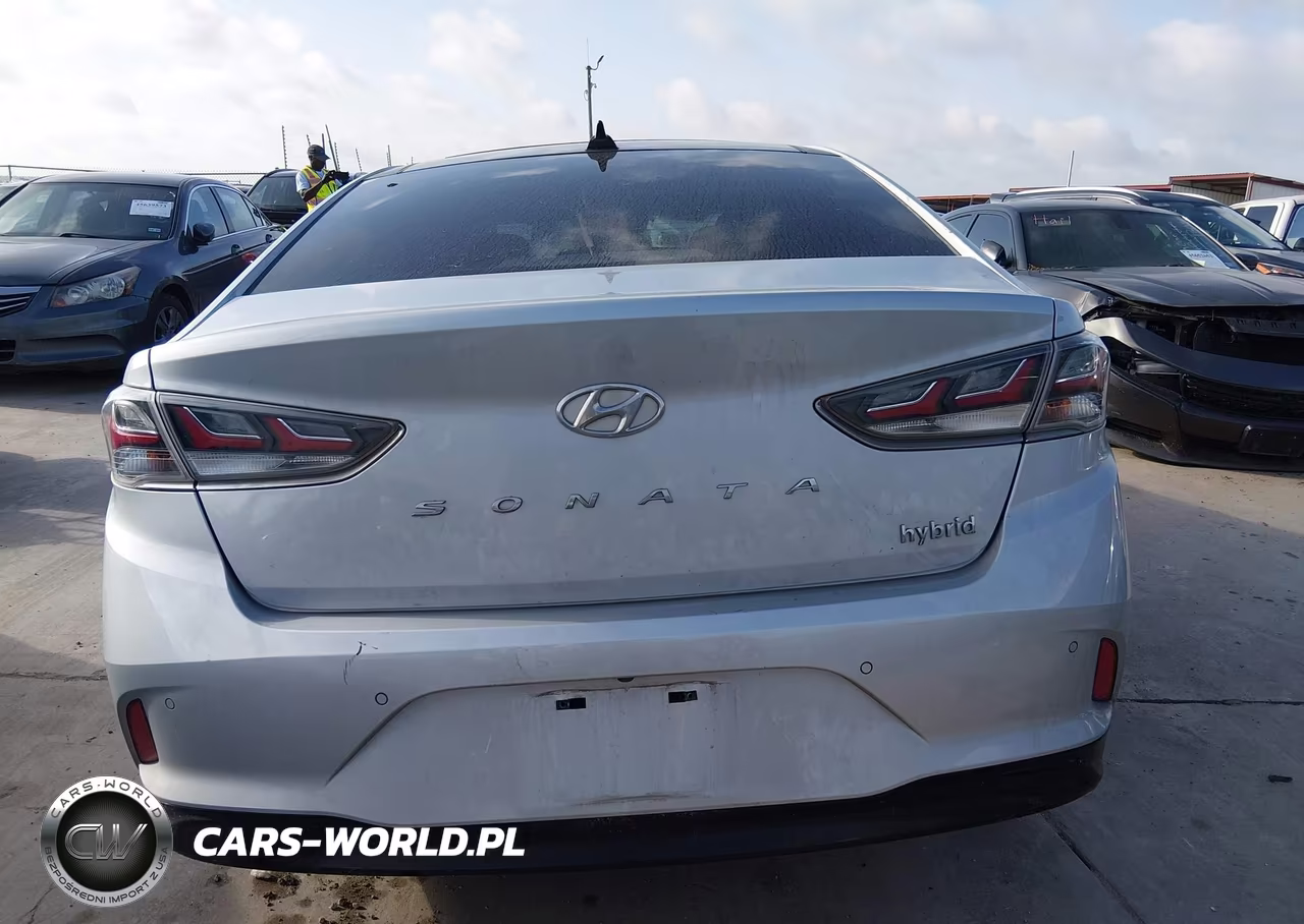 2019 Hyundai Sonata Hybrid Limited VIN:KMHE34L36KA090659 - 17