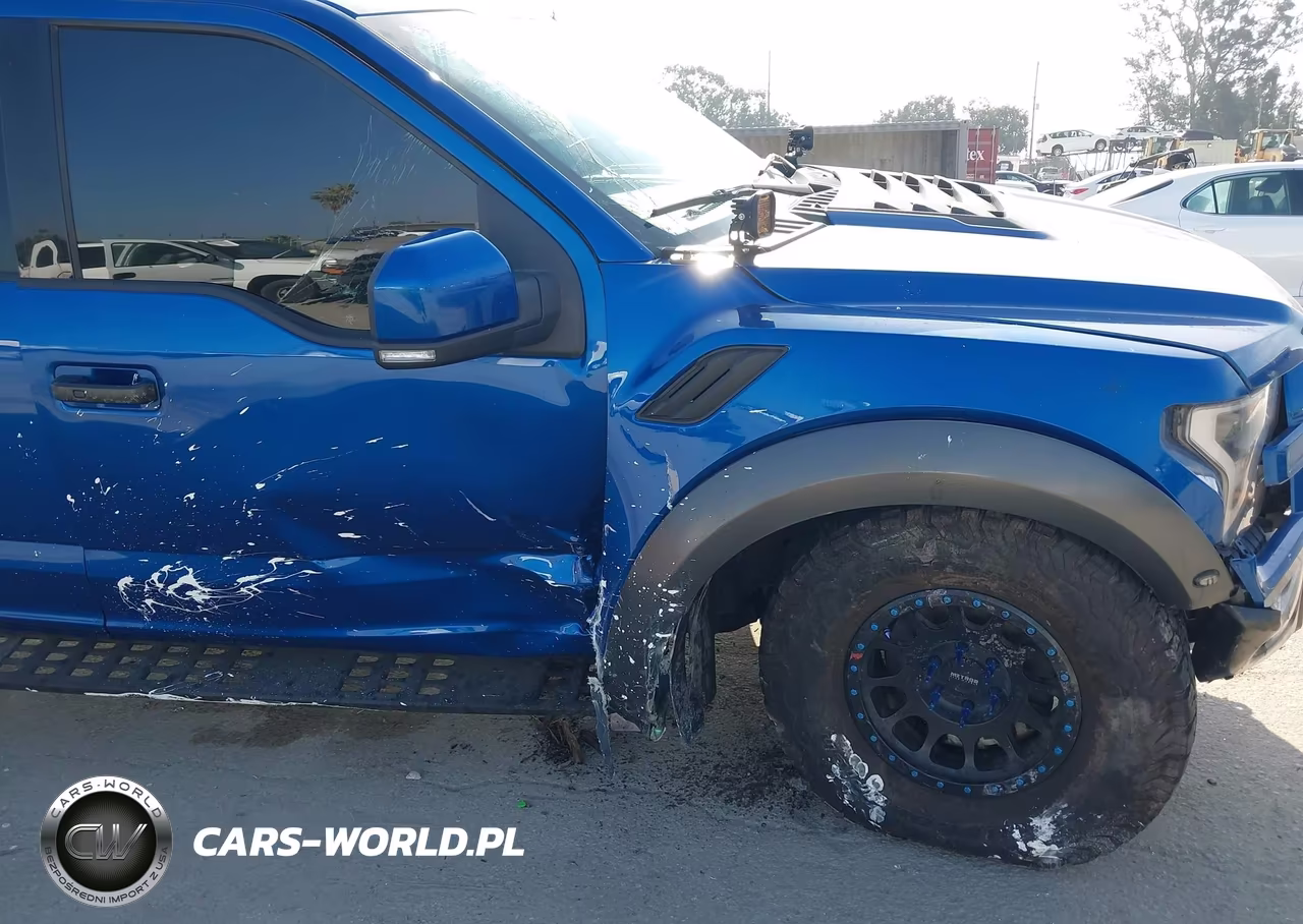 2018 Ford F-150 Raptor VIN:1FTFW1RG8JFD04223 - 12